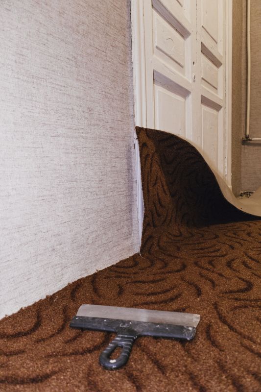 Doorway Carpet Repair in Littleton, CO